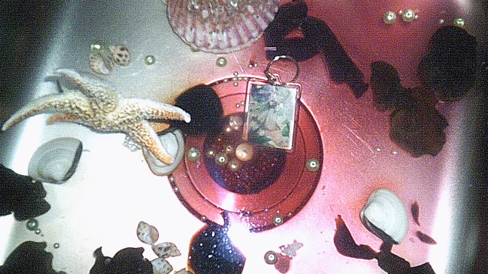 close up of the sink, theres some dark algae, keychain, pearls, starfish and sea sheels